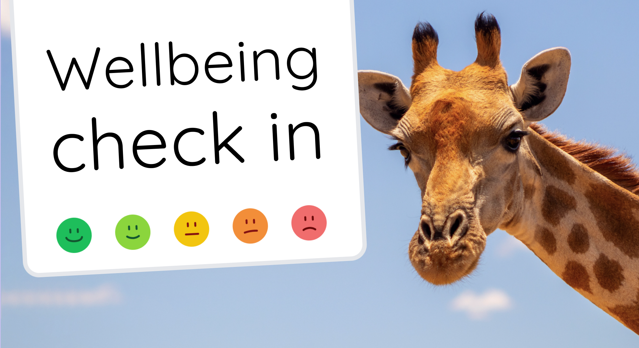 Wellbeing Check-In – title above colorful emoji mood poll with calm background design
