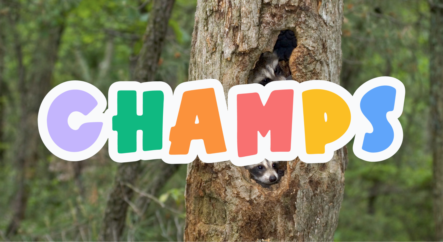 Customizable CHAMPS Template – Visual layout of classroom expectations using CHAMPS categories: Conversation, Help, Activity, Movement, Participation, and Success.