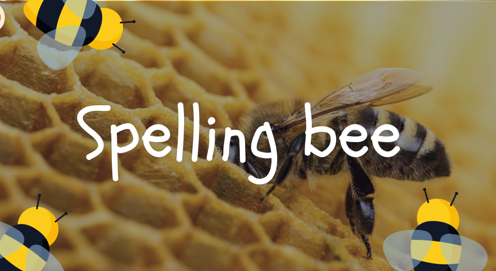 Interactive Spelling Bee classroom screen with a word prompt, timer, and colorful bee-themed design.