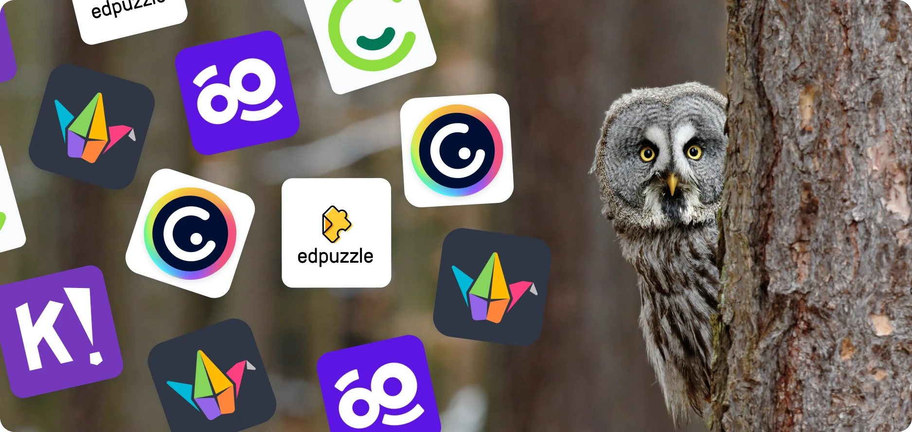 This image shows the different tools included in the blog.