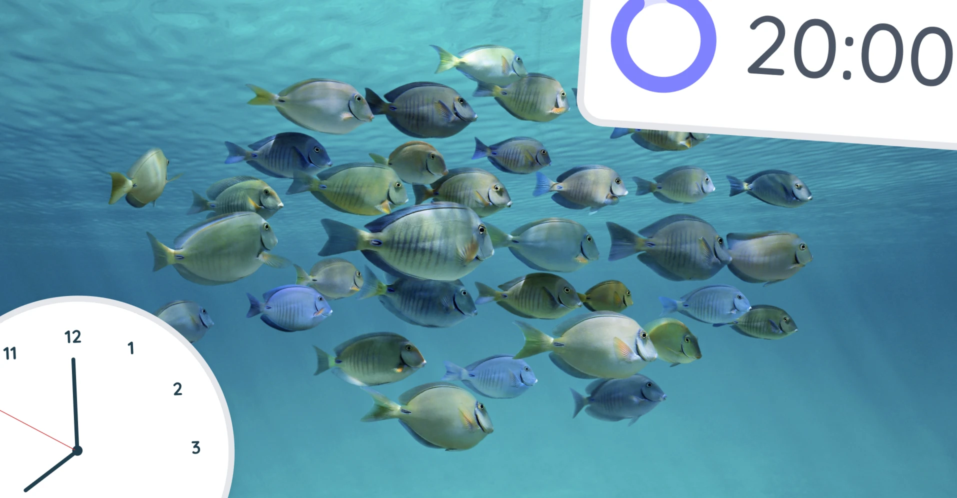 In this article, we will be explain how to utilize Classroomscreen to improve time management in your teaching!