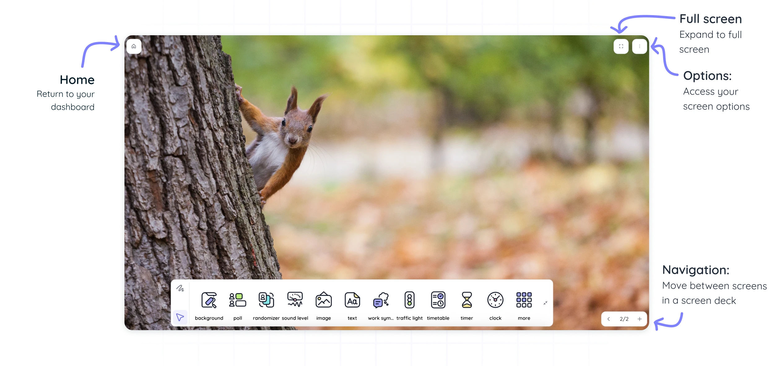 Screenshot of a user interface with a toolbar over an image of two giraffes, annotated with labels for home, options, navigation, and full screen features.