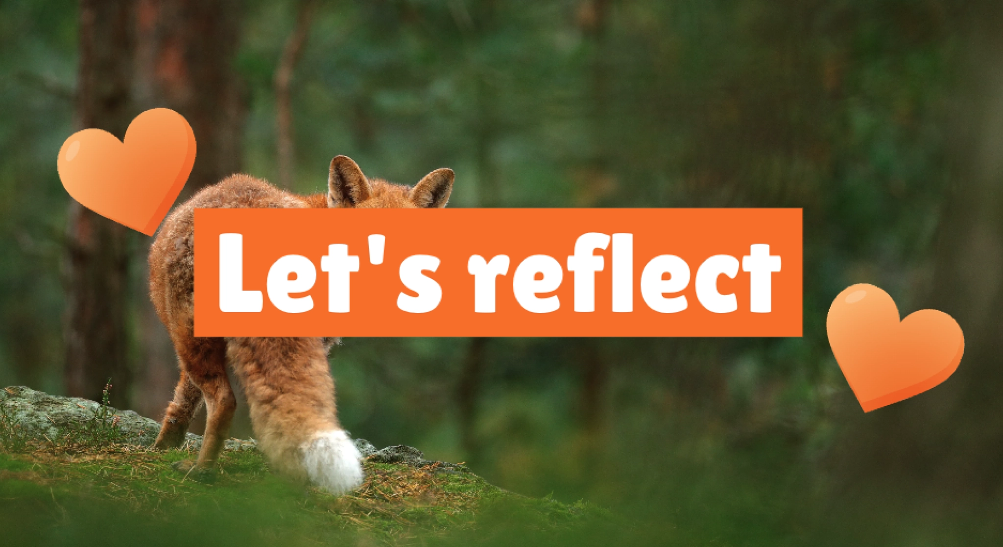 Try our team's templates today!